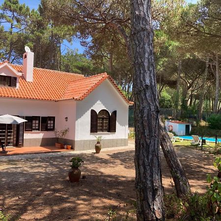 Moradia No Pinhal Com Piscina - Espaco E Privacidade Para As Suas Ferias! Синтра Экстерьер фото