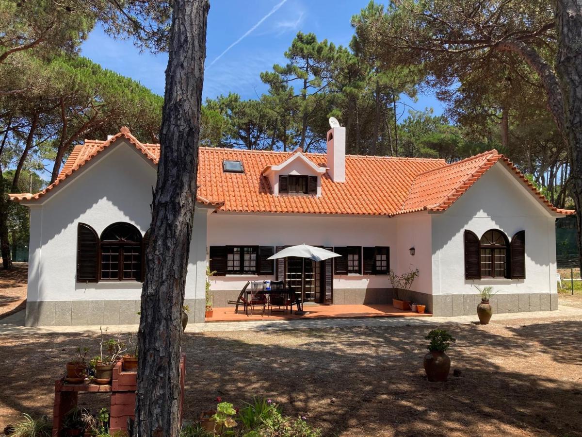 Moradia No Pinhal Com Piscina - Espaco E Privacidade Para As Suas Ferias! Синтра Экстерьер фото