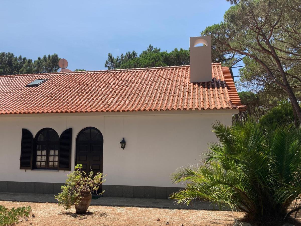 Moradia No Pinhal Com Piscina - Espaco E Privacidade Para As Suas Ferias! Синтра Экстерьер фото
